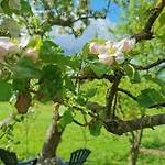 Casa de Férias Auwer Hills - On Dr Schuer Auw bei Prum